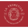 Viña La Prometida