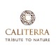 Carmenere